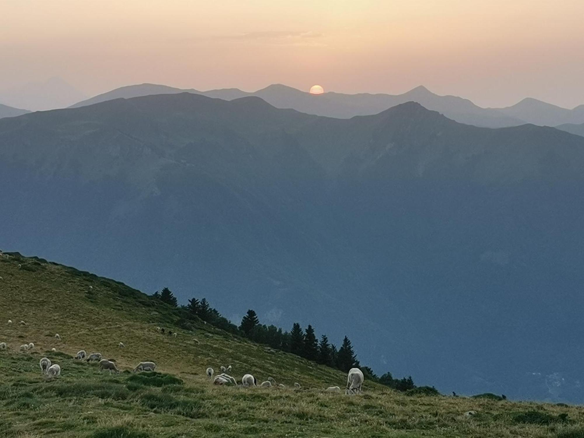 Maison 13 Pers A 10Mn De Luchon Cazaux-Layrisse Екстер'єр фото